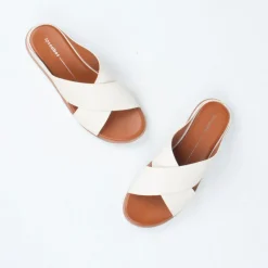 Abie Slide^Los Cabos New
