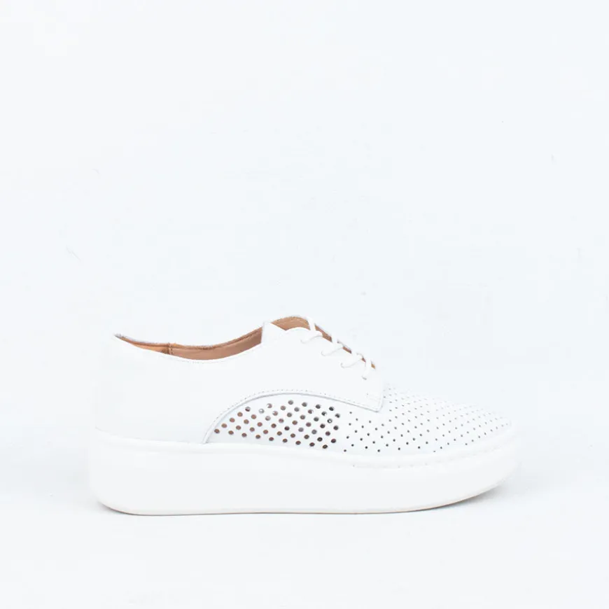 Derby City Punch Sneaker^Rollie Online