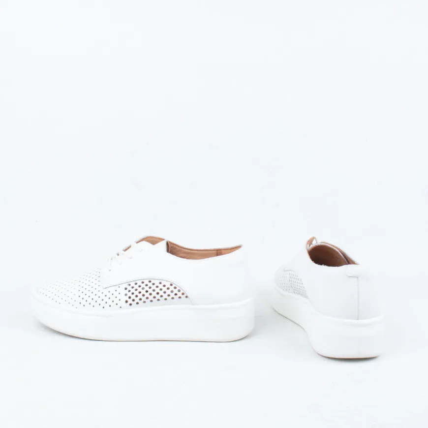 Derby City Punch Sneaker^Rollie Online