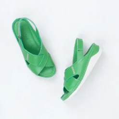 Mahalo Sandal^Cassini New