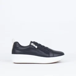 Malley Sneaker^Alfie and Evie Clearance
