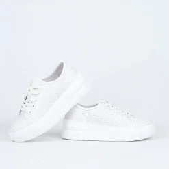 Norwich Sneaker^Gelato Discount