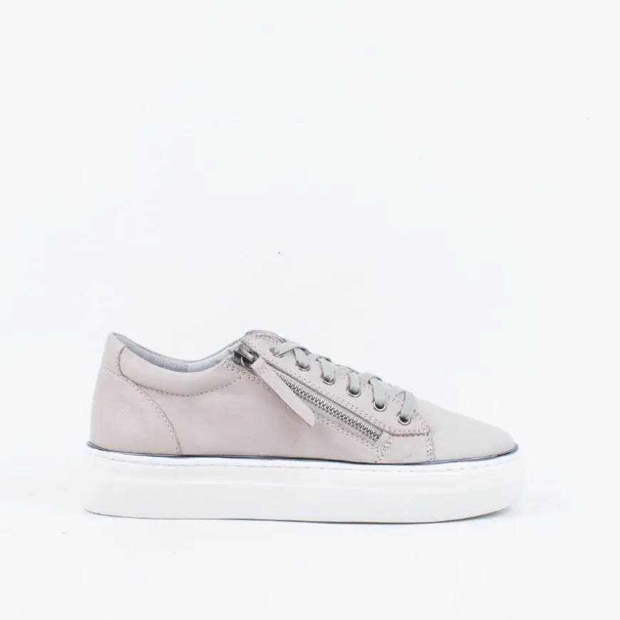 Zane Sneaker^Gelato Sale